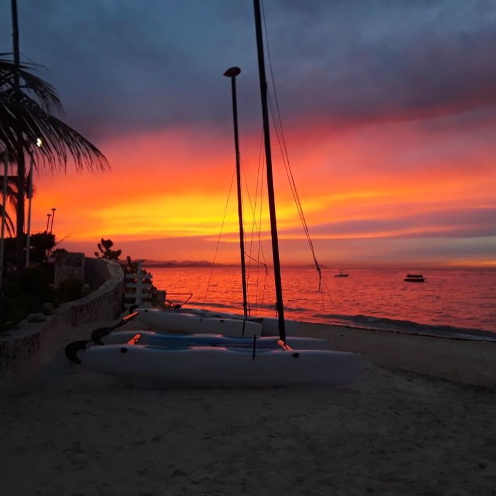 Meet your Posher, Sue